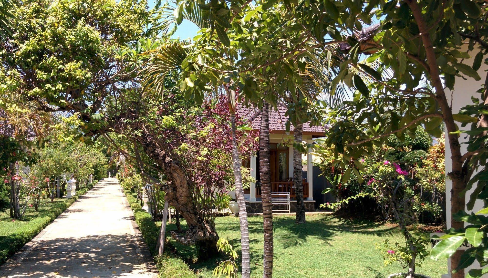New Starlight Hotel Lovina Dış mekan fotoğraf